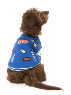 The Letterman Jacket - Blue