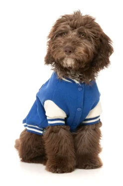 The Letterman Jacket - Blue