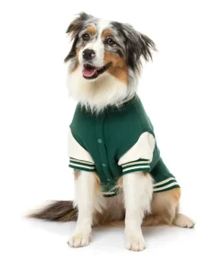 The Letterman Jacket - Green