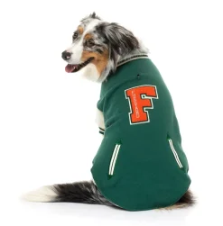 The Letterman Jacket - Green