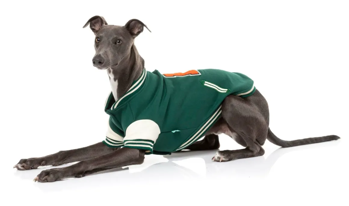 The Letterman Jacket - Green