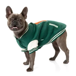 The Letterman Jacket - Green