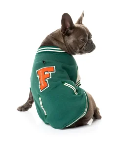 The Letterman Jacket - Green