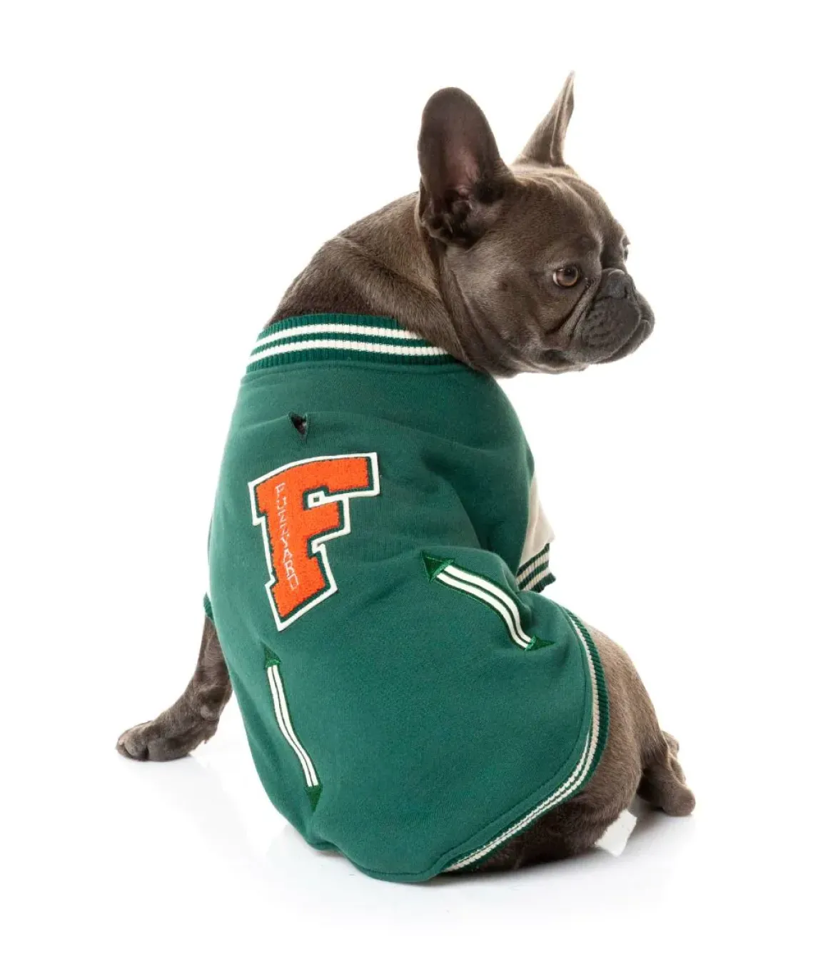 The Letterman Jacket - Green
