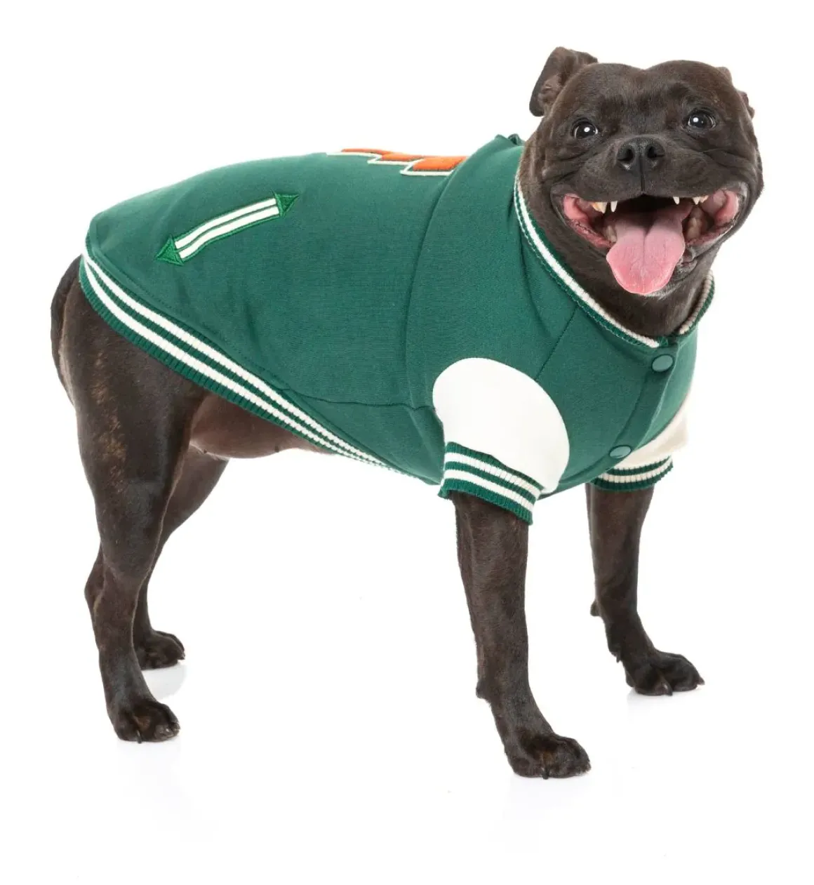 The Letterman Jacket - Green