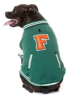 The Letterman Jacket - Green