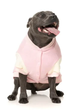 The Letterman Jacket - Pink