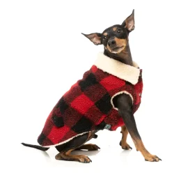 The Lumberjack - Red