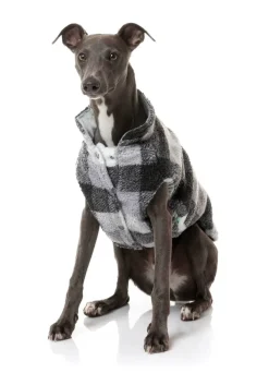 The Lumberjack - White/Black