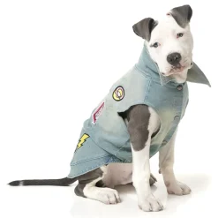 The Rocker Denim Jacket