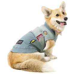 The Rocker Denim Jacket