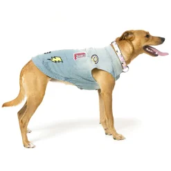 The Rocker Denim Jacket