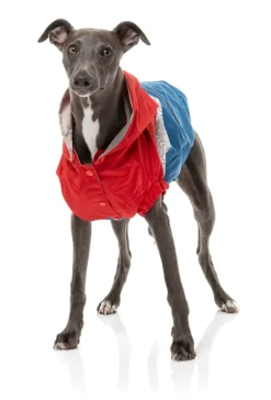 The Seattle Jacket - Red/Blue