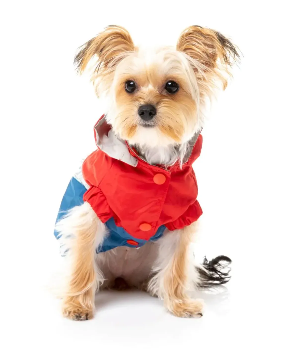 The Seattle Jacket - Red/Blue