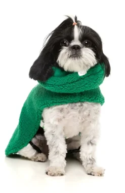 The Snuggle Snood Coat - Green