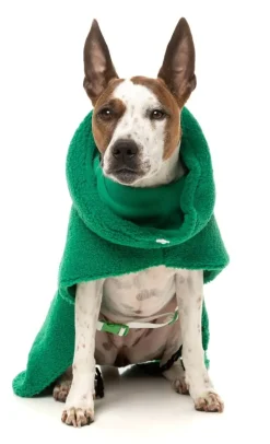 The Snuggle Snood Coat - Green
