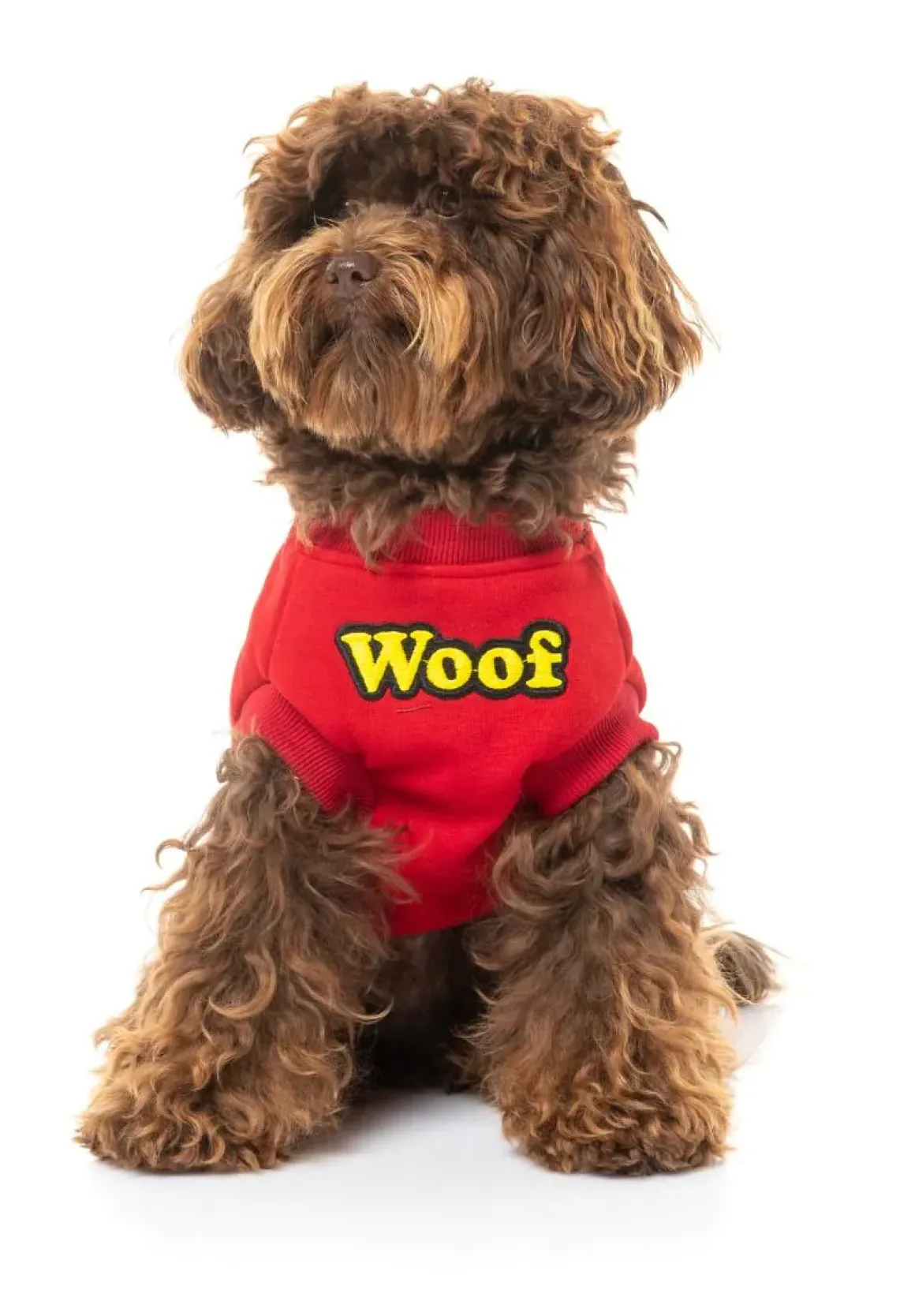 The Woof Sweater - Red
