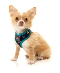 The Yardsters Harness