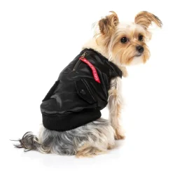 The Zoomies Jacket - Black