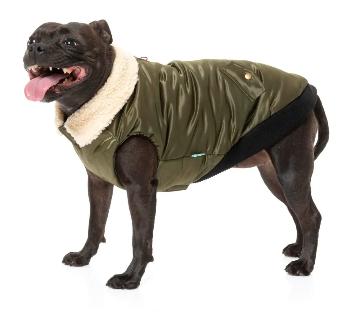 The Zoomies Jacket - Olive Green