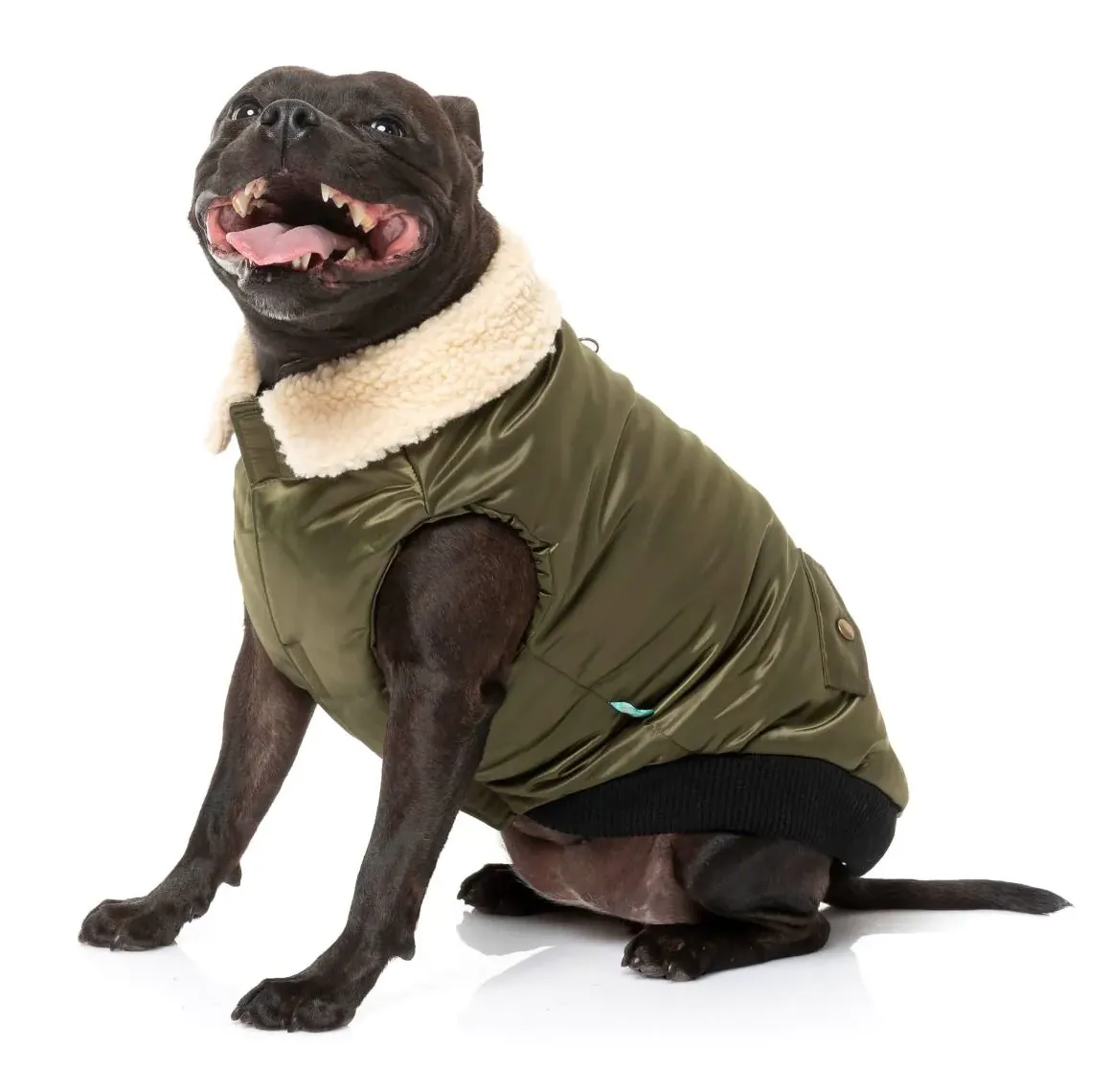 The Zoomies Jacket - Olive Green