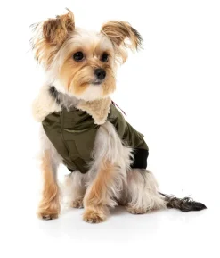 The Zoomies Jacket - Olive Green