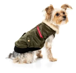 The Zoomies Jacket - Olive Green