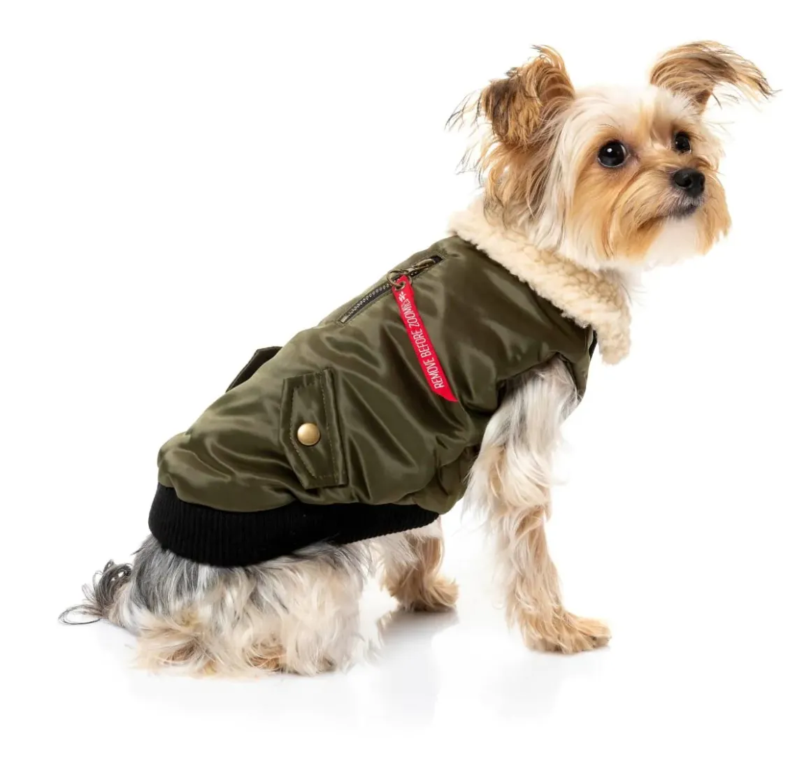 The Zoomies Jacket - Olive Green
