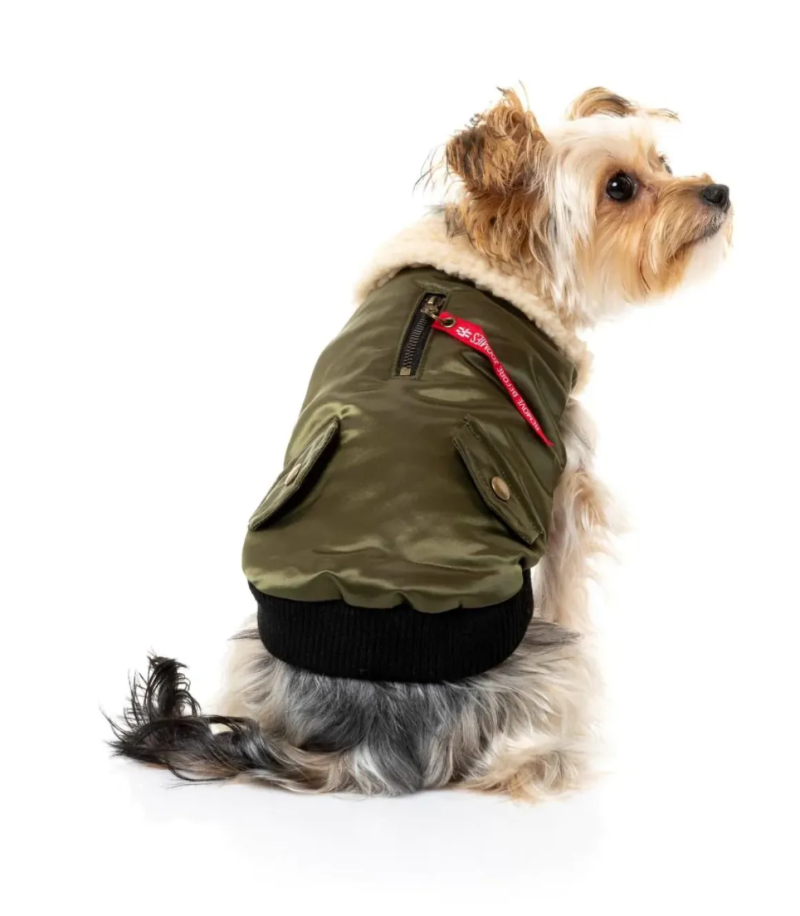The Zoomies Jacket - Olive Green