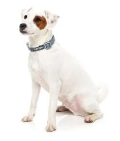 Thornbury - Aegean Blue - Dog Collar