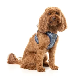 Thornbury - Aegean Blue - Dog Step In Harness