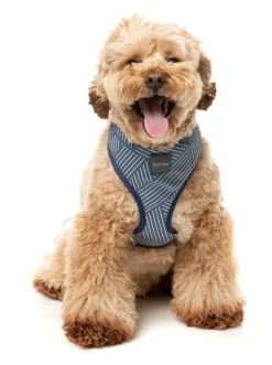 Thornbury - Aegean Blue - Dog Harness