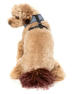 Thornbury - Aegean Blue - Dog Harness