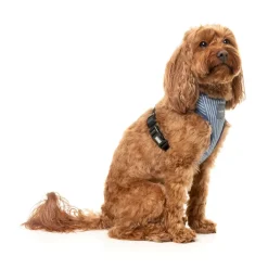 Thornbury - Aegean Blue - Dog Harness