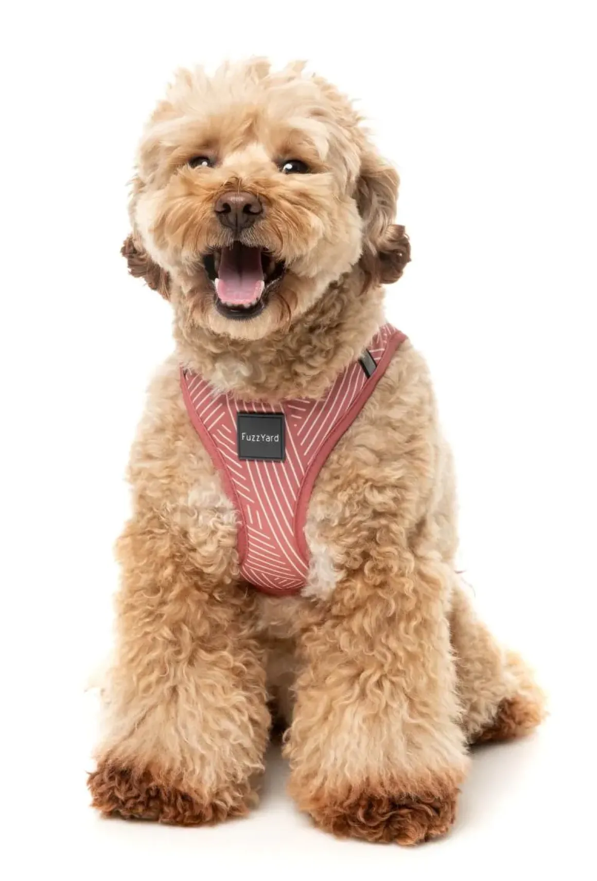 Thornbury - Brick Red - Dog Step In Harness