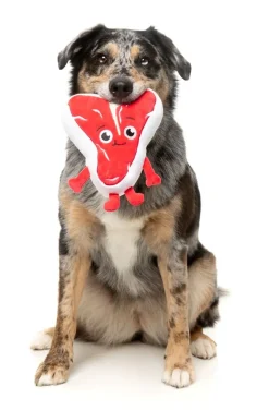 Tim Tee-Bowne - Dog Toy