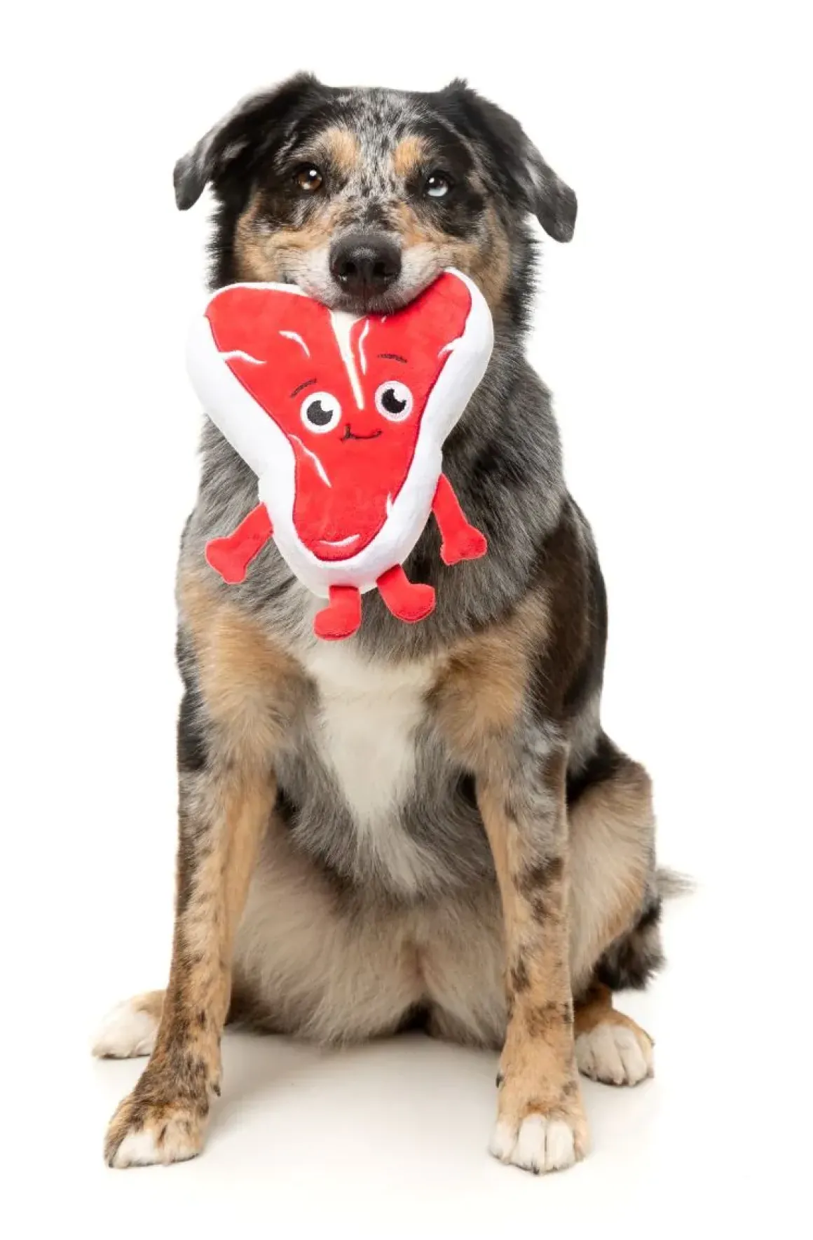 Tim Tee-Bowne - Dog Toy