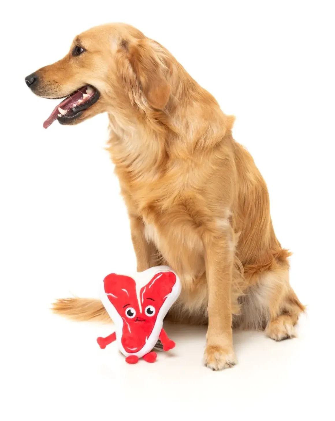 Tim Tee-Bowne - Dog Toy