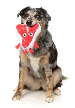 Tim Tee-Bowne - Dog Toy