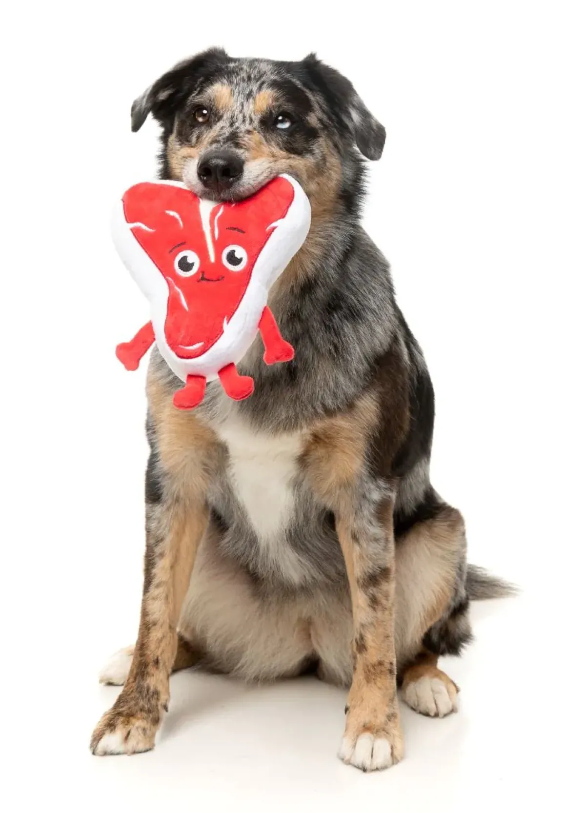 Tim Tee-Bowne - Dog Toy