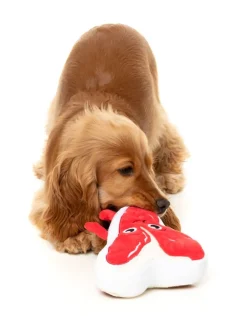 Tim Tee-Bowne - Dog Toy