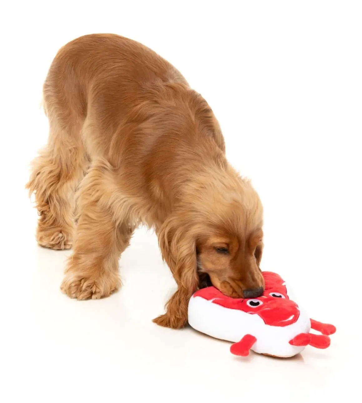 Tim Tee-Bowne - Dog Toy