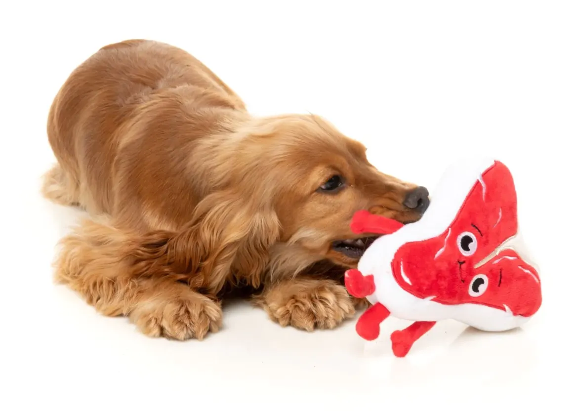 Tim Tee-Bowne - Dog Toy