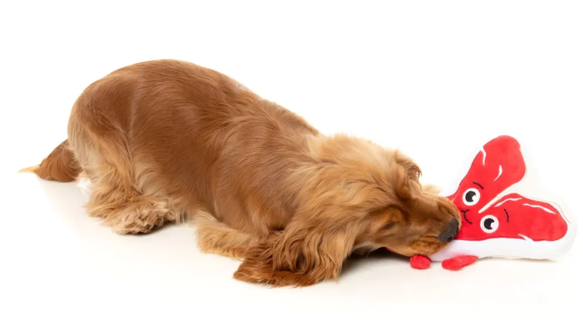 Tim Tee-Bowne - Dog Toy