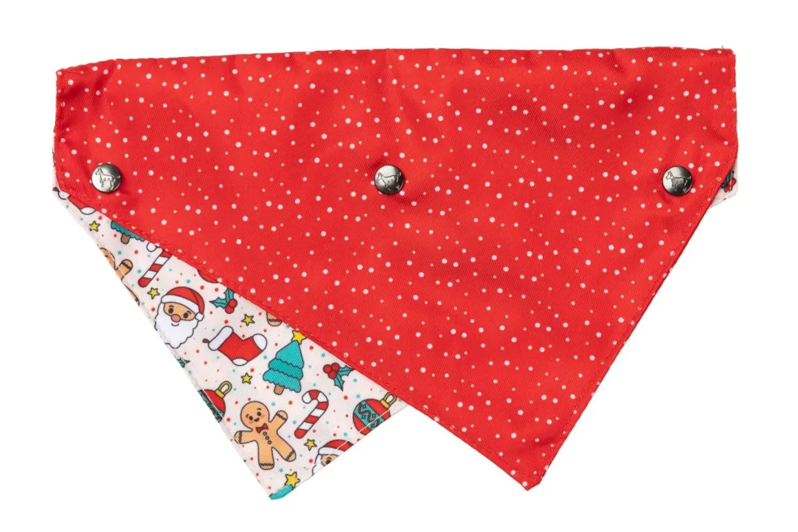 Tinsel Time - Dog 2 Pack