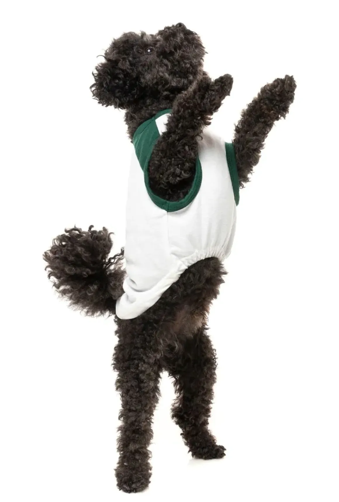 Tis The Season To Be Pantless - T-Shirt