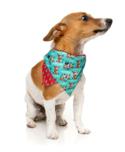 Too Much Rein-Beer Bandana