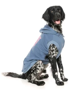 Treats Hoodie - Blue