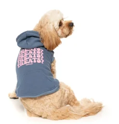 Treats Hoodie - Blue