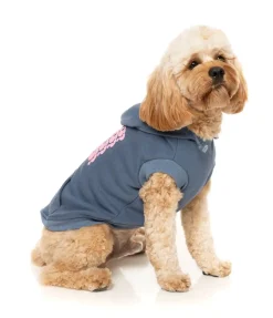 Treats Hoodie - Blue